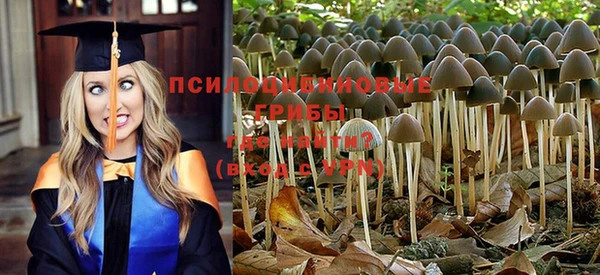 спиды Арсеньев