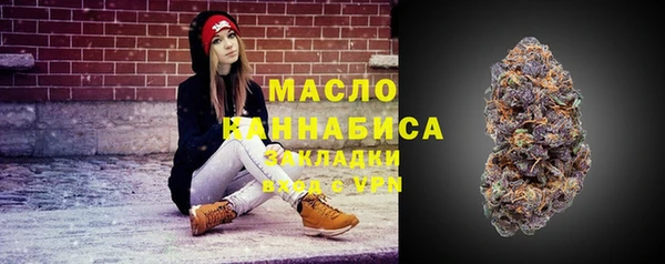 сатива Армянск