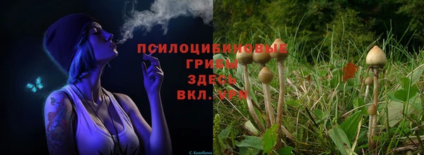 спиды Арсеньев
